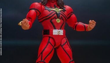 Does anyone know what match this Liger attire is from?