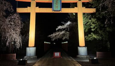 Illuminated Cherry Blossoms: Can You Guess Which Famous Kyoto Shrine This Is?