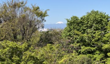 Fuji San at Todoroki Fudōson Temple in Setagaya Ward.