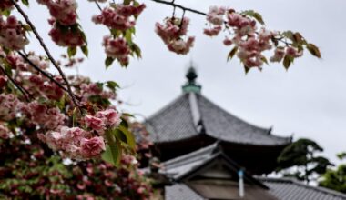 Nara Park