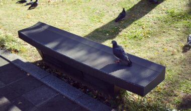 Take a seat in Tokyo