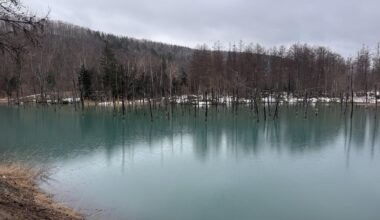 Visited the Shirogane Blue Pond. I was the only one there.