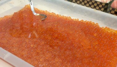 I want to bury my face in the sea of ​​ikura (salmon roe)…I love it