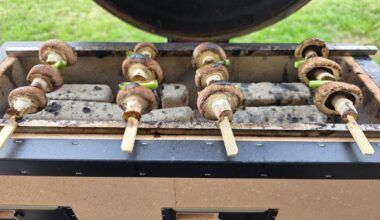 Broke in my new shichirin with some kushiyaki