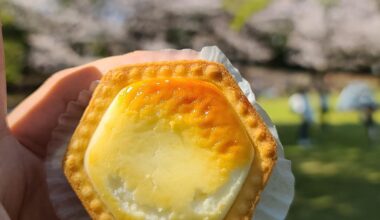 Hakone Cheese Tartles, one of the best desserts I tried on my trip