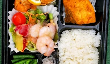 Perfectly Packed Japanese Bento