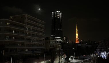 A Peaceful Evening in Tokyo