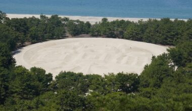 Shikoku Zenigata Sunae (Coined-shape Sand Art) and Gate in the sky