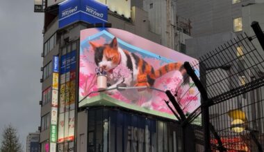 Tokyo Spring 2025