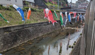 It's coming up to Kodomo no hi!