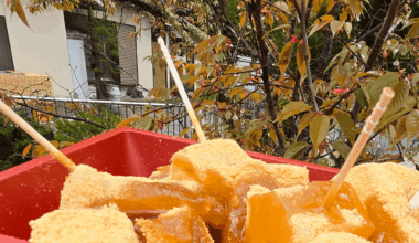 Kuzumochi in Nara versus the prepackaged brought back home.