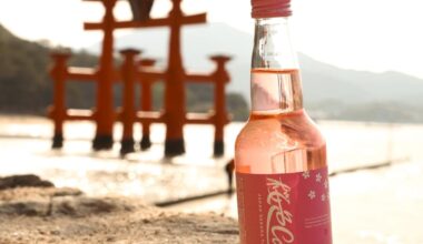 2 hours in Miyajima