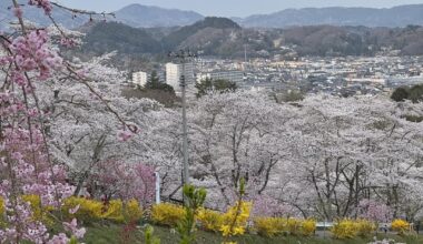 Funaoka Castle Ruins Park