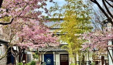 Late Spring scene in Nagano City