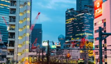 Cherry blossoms grow under lantern light, with the Yamanote Line slipping by in the night — Tokyo magic in a single frame.