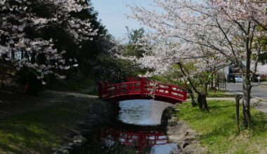 夫婦鶴の舞 on Shikoku island