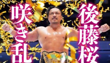 Goto revolution V3