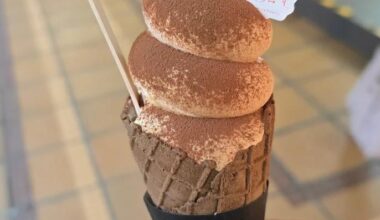 Tiramisu ice cream, I loved the cocoa sprinkle