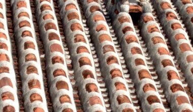 Shiisa on the tiled rooftop, Kohama island, Yaeyama District, Okinawa