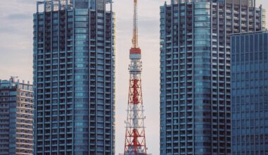 A pic of Tokyo Tower I took around 2 years ago (and yes the bird is real!)