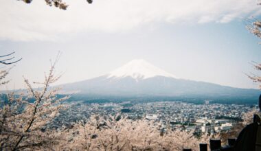 Mt. Fuji on Fujifilm