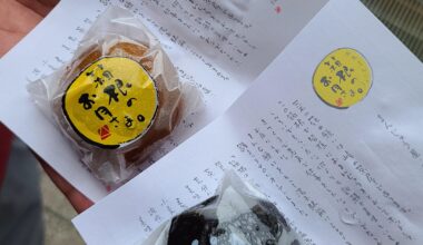 One of the sweets I tried in Hakone, the Manju, delicate and beautifully presented