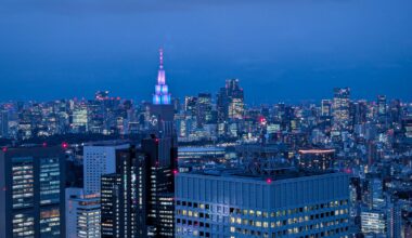 Tokyo as seen from the metropolitan government building
