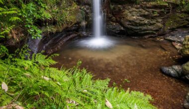 Medaki Waterfall, Chichibu
