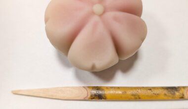 Where to buy this Wagashi?