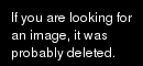Wanikani need to chill out sometimes the answers are too rigid