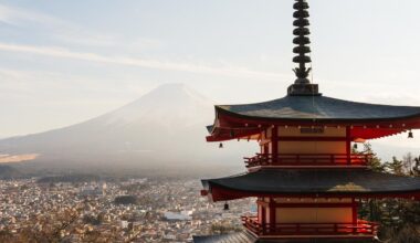 Mt.Fuji and Chureito Pagoda (March 2025)