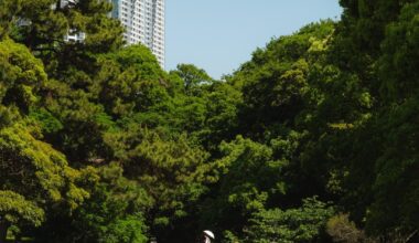 Hamarikyu Gardens in Tokyo