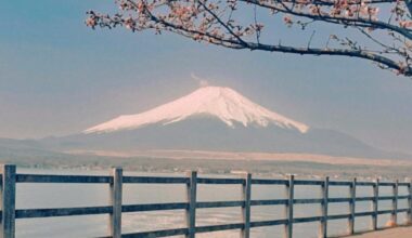 Lake Yamanaka, early blossoms