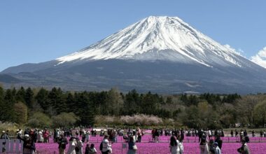 Fuji Shiba Sakura Festival