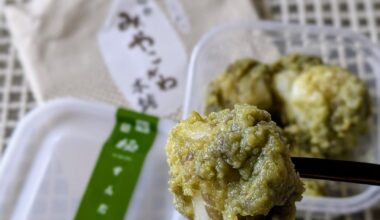 Zunda mochi, a sweet made from edamame(green soybeans)🫛 and mochi🍡 from Sendai, Miyagi Prefecture.