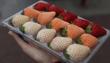 Japanese strawberry varieties