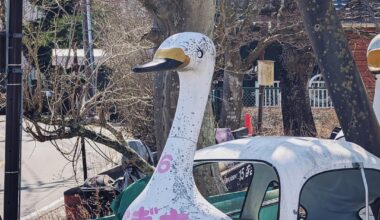 A few mobile snaps from my recent trip.