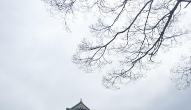 Osaka Castle