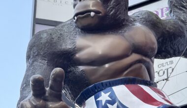 Monkey in Shinjuku