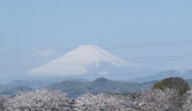 A view of Mt. Fuji and some cherry blossoms from the Shinkansen