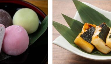 Mochi or Mochi