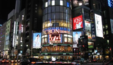 Ginza at night - Summer 2007
