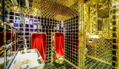 The Shinjuku Robot Restaurant bathroom in Japan. credit: @japankuru