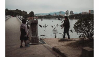 Ohori park scene