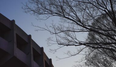 Outside Yoyogi Park