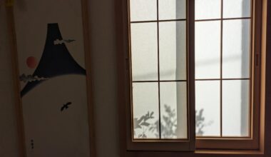 The view when I woke up this morning