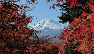 I took a picture of Mount Fuji peeping thru the autumn momiji leaves