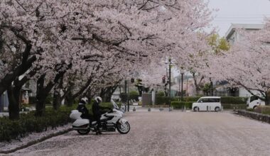 Japan 1 month ago