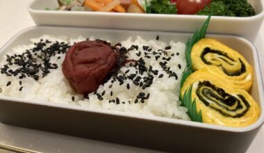 My mom’s weekly obento