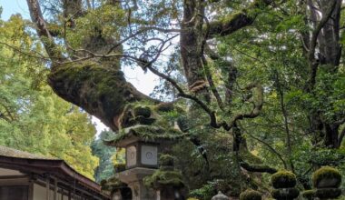 Kasuga-taisha, Nara